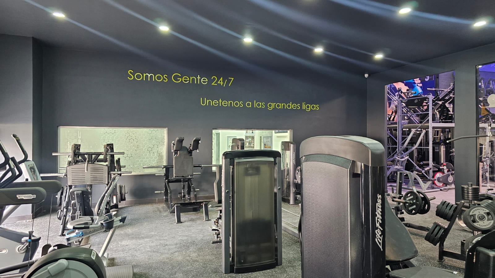 Solid Work Gym Equipment